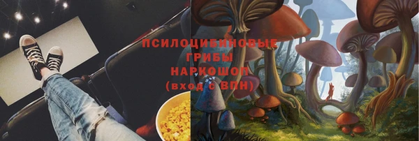 прущие крисы Бронницы