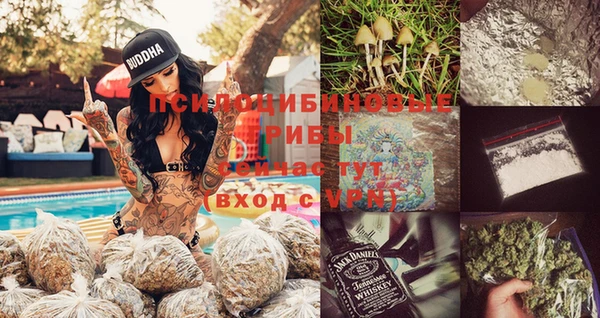 прущие крисы Бронницы