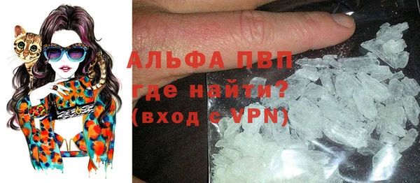 ГАЛЛЮЦИНОГЕННЫЕ ГРИБЫ Верея
