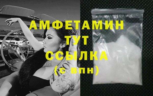 ГАЛЛЮЦИНОГЕННЫЕ ГРИБЫ Верея