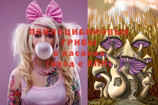 шишки Бугульма