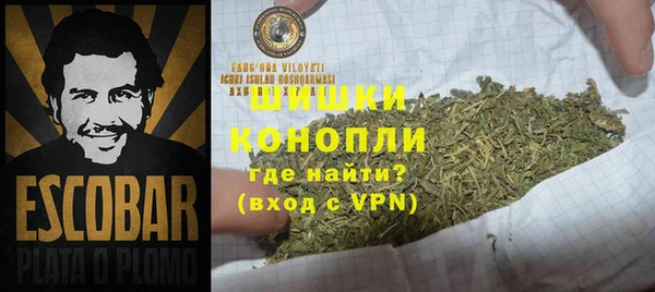 ГАЛЛЮЦИНОГЕННЫЕ ГРИБЫ Верея