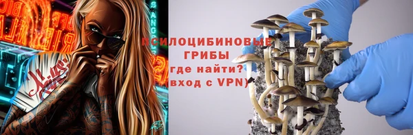 шишки Бугульма