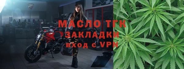 ГАЛЛЮЦИНОГЕННЫЕ ГРИБЫ Верея