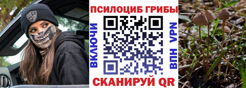 Псилоцибиновые грибы MAGIC MUSHROOMS  закладки  Петропавловск-Камчатский 